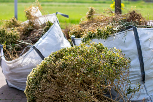 Best Mattress Removal Service  in Moore Haven, FL
